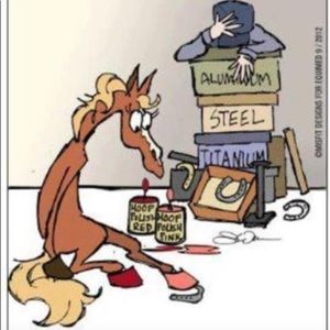 “Why it takes longer to shoe a mare”.